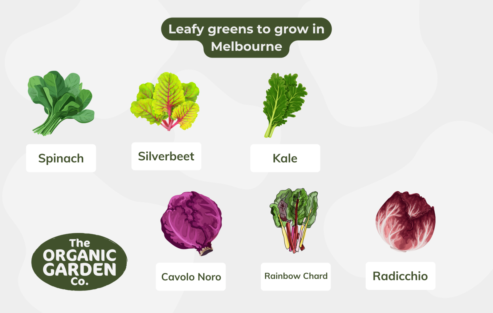 What To Plant In Winter Melbourne Edition